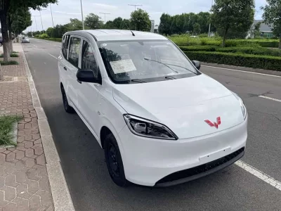 Wuling Hongguang New Energy