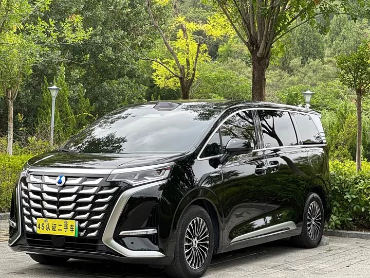 Denza D9