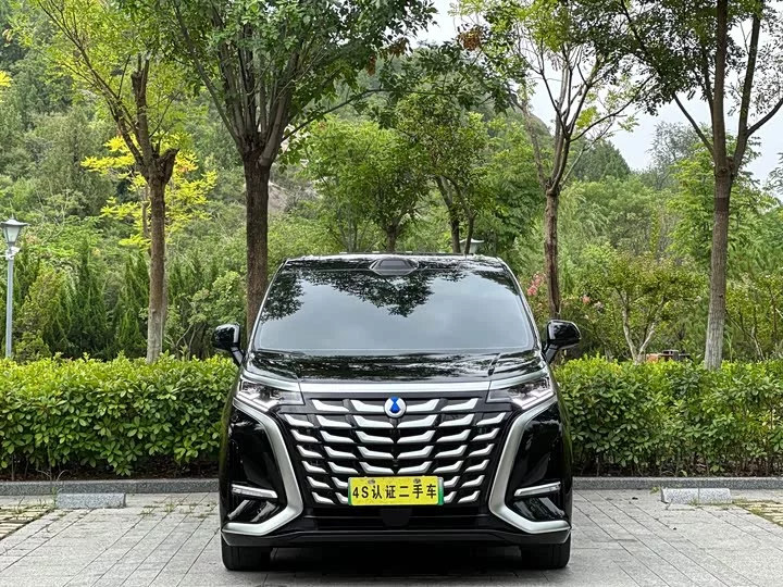 Denza D9