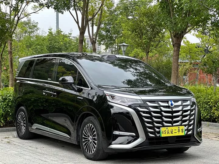 Denza D9