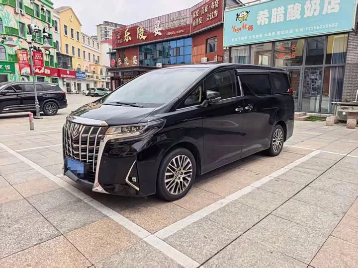 Toyota Elfa
