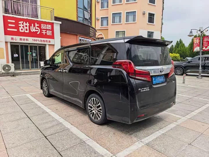 Toyota Elfa