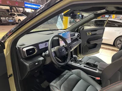 Geely Denim
