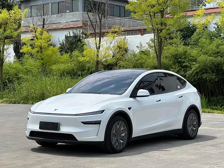 Tesla Model Y L