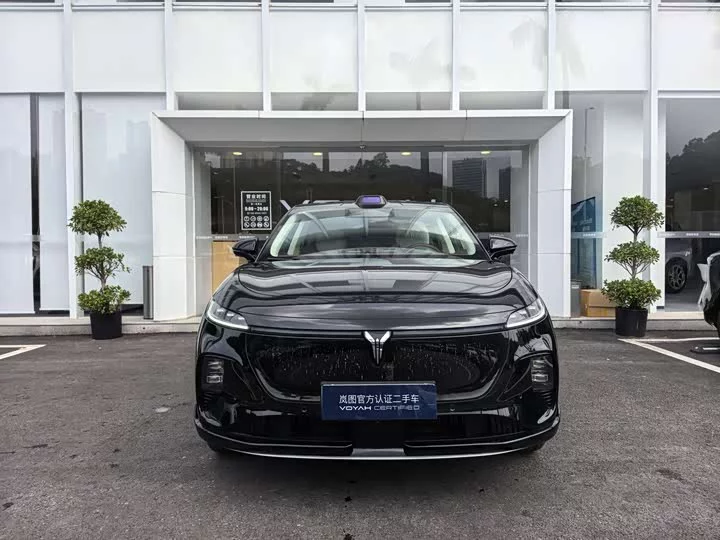 Lantu Automobile Lantu Zhiyin