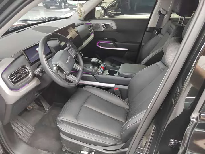 BYD Leopard Titanium 3