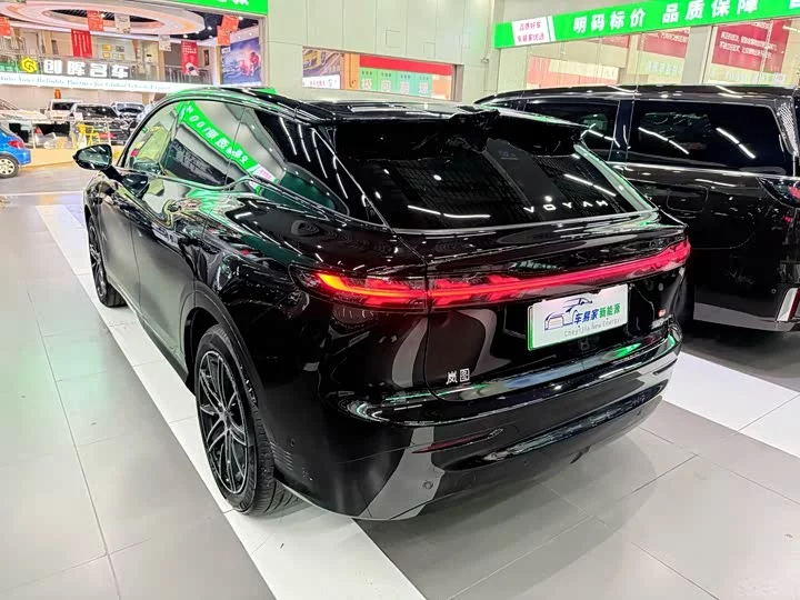 Lantu Automobile Lantu Zhiyin