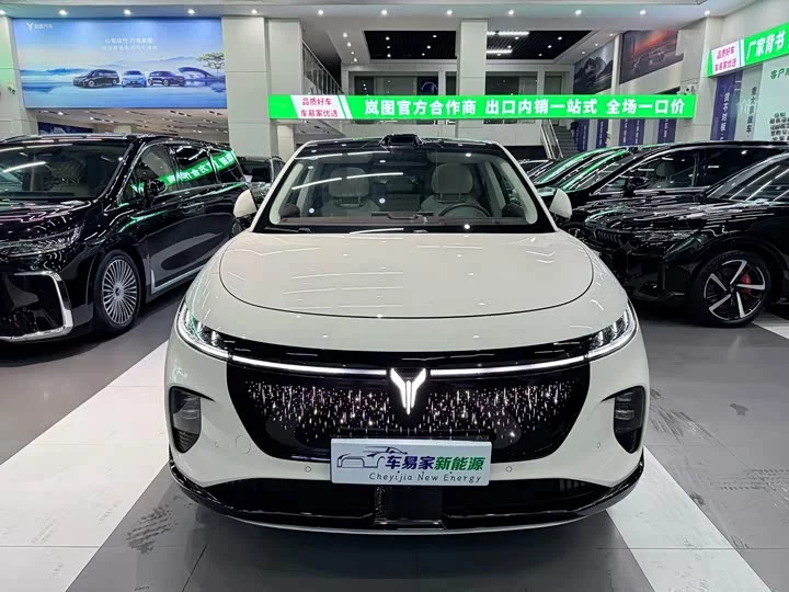 Lantu Automobile Lantu Zhiyin