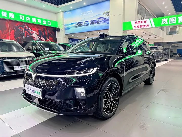Lantu Automobile Lantu Zhiyin