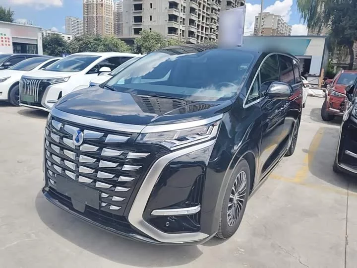 Denza D9