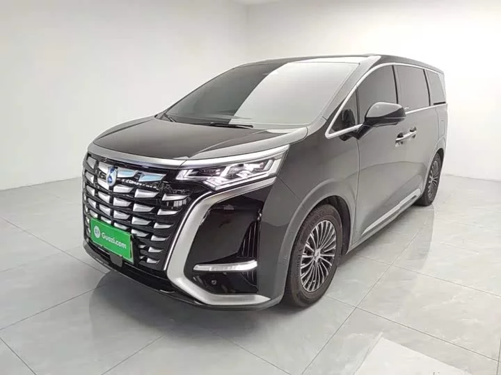 Denza D9