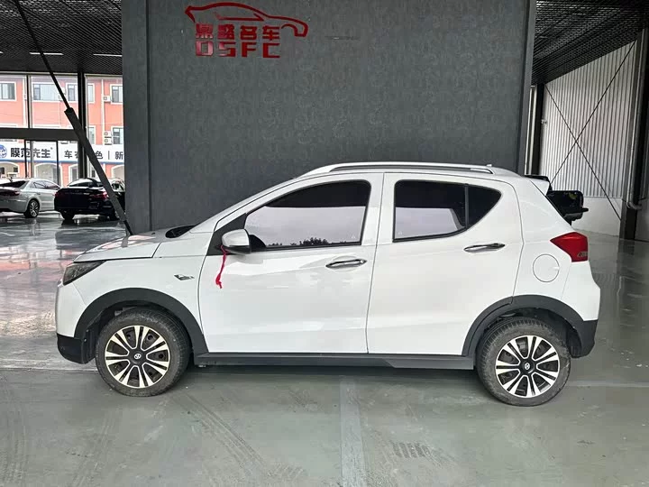 BAIC EC