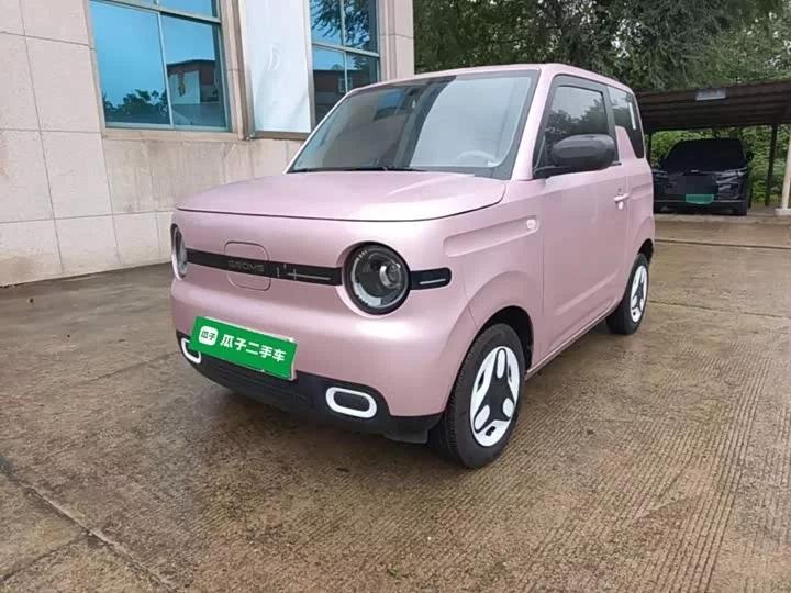 Geely panda