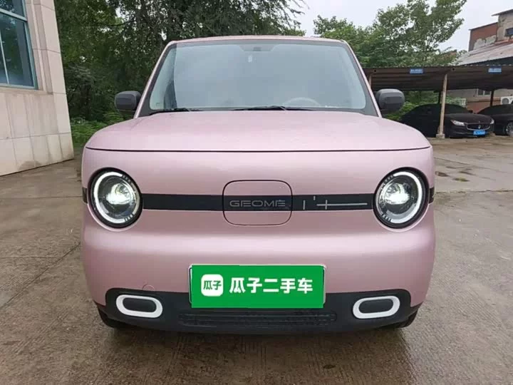 Geely panda