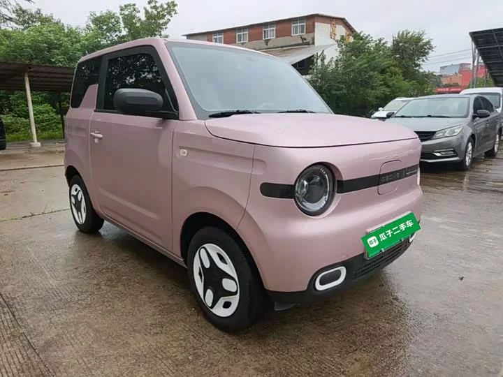 Geely panda