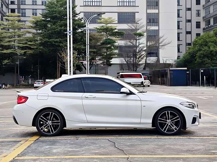 BMW 2 Series