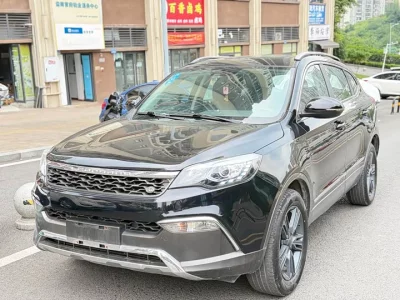 Leopaard Cheetah CS10