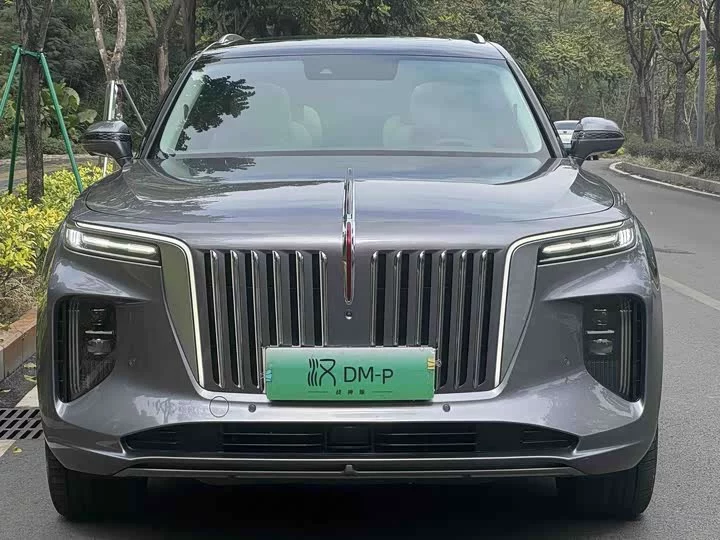 Hongqi E-HS9