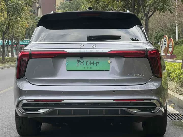 Hongqi E-HS9