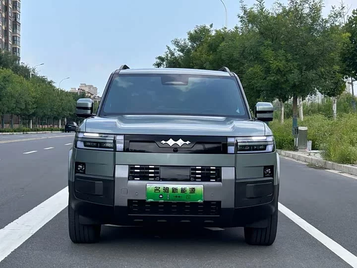 BYD Leopard Titanium 7