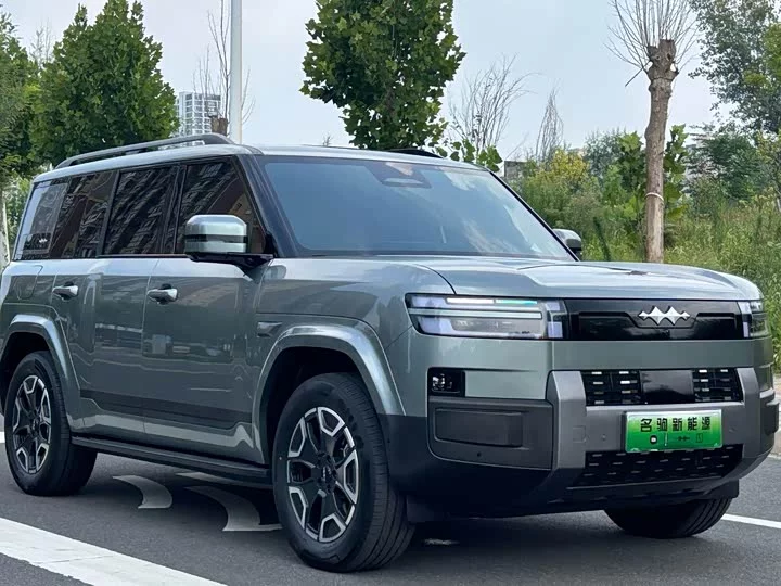 BYD Leopard Titanium 7