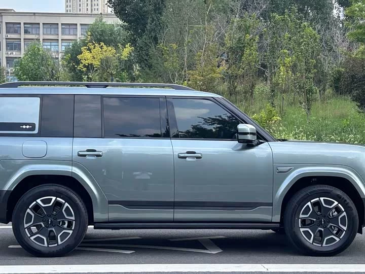 BYD Leopard Titanium 7