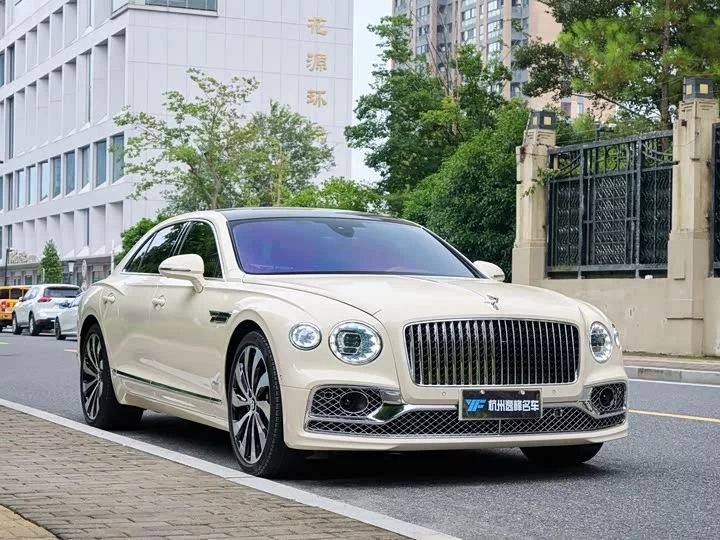 Bentley galloping