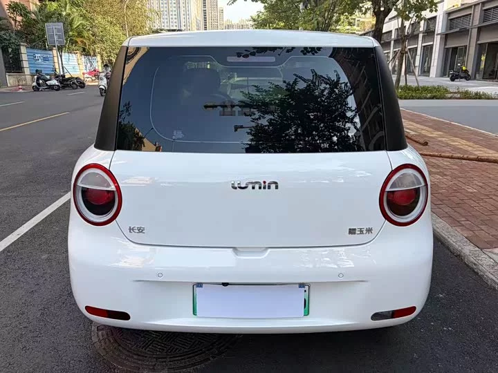 Changan Lumin