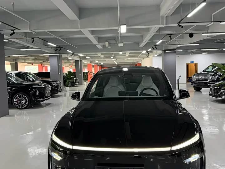 Tesla Model Y L