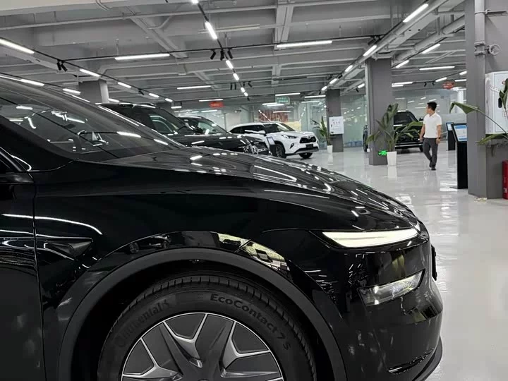 Tesla Model Y L