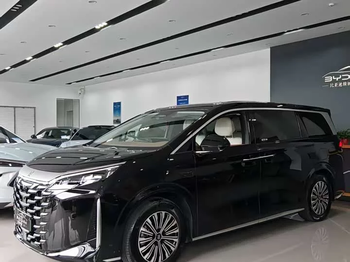 BYD summer