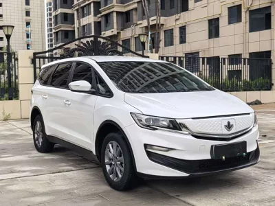 Ruilan Maple Leaf 80v