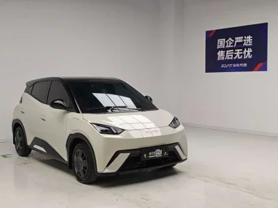 BYD seagull