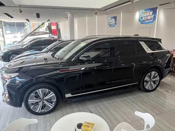 Hongqi E-HS9
