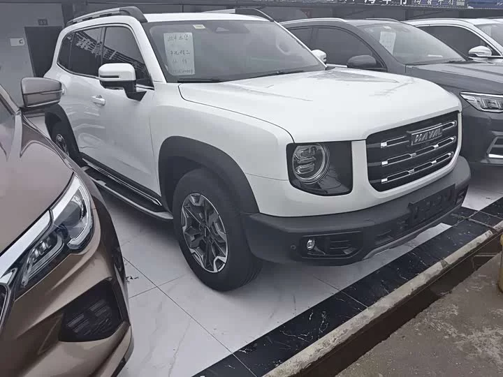 Haval Big Dog DaGou