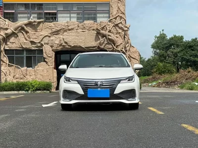 Toyota Asiatic lion