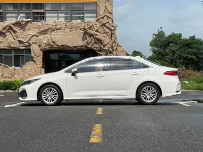 Toyota Asiatic lion