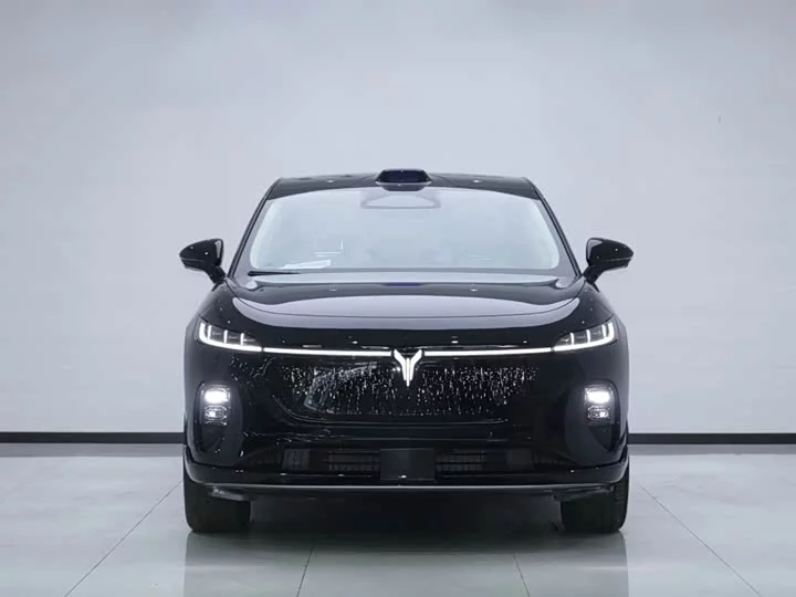 Lantu Automobile Lantu Zhiyin