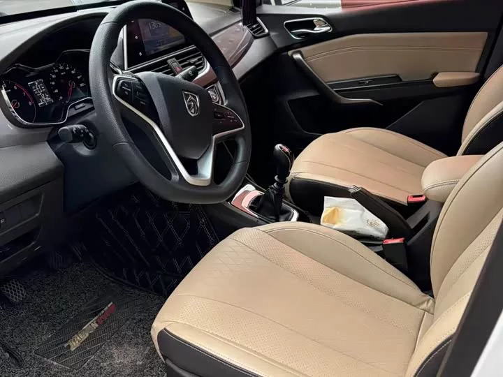Baojun 310