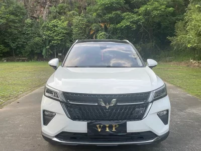Wuling Star