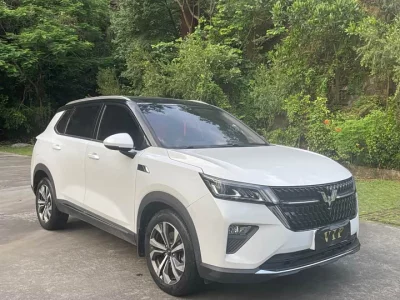 Wuling Star