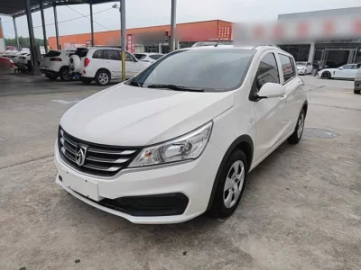 Baojun 310