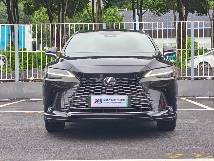 Lexus RX New Energy
