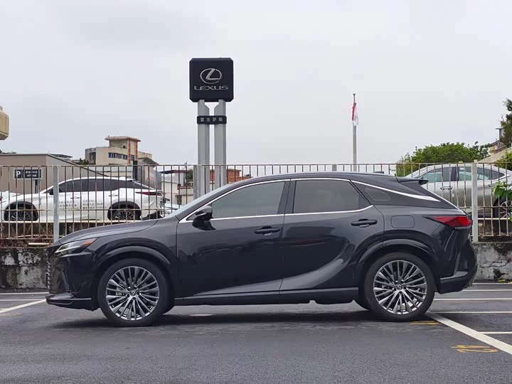 Lexus RX New Energy