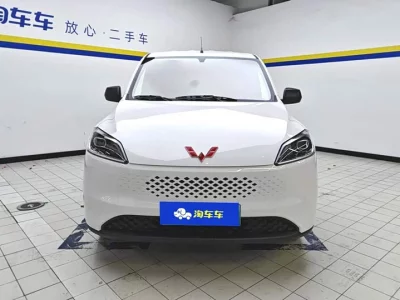 Wuling Hongguang New Energy