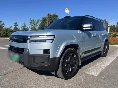 BYD Leopard Titanium 7