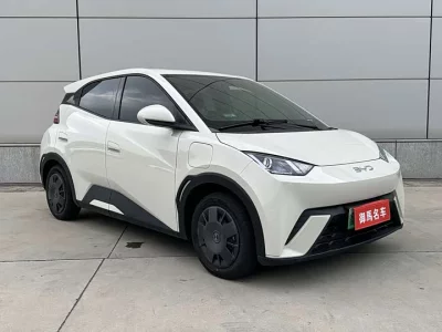 BYD seagull