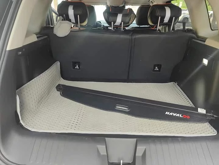 Haval Big Dog DaGou