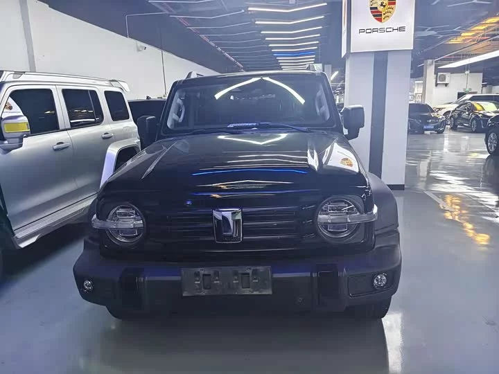 tank 300