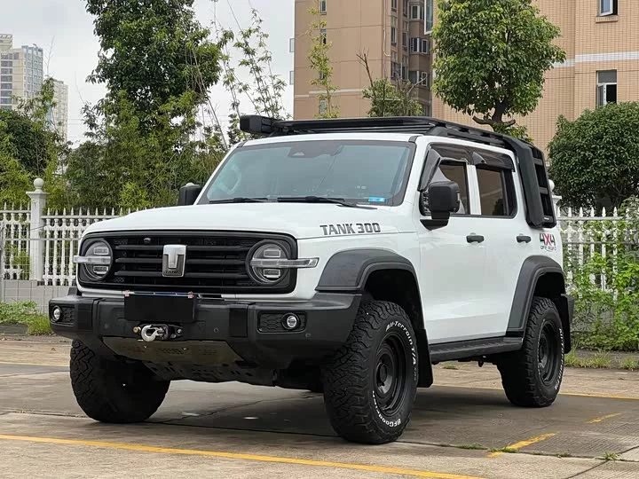 tank 300